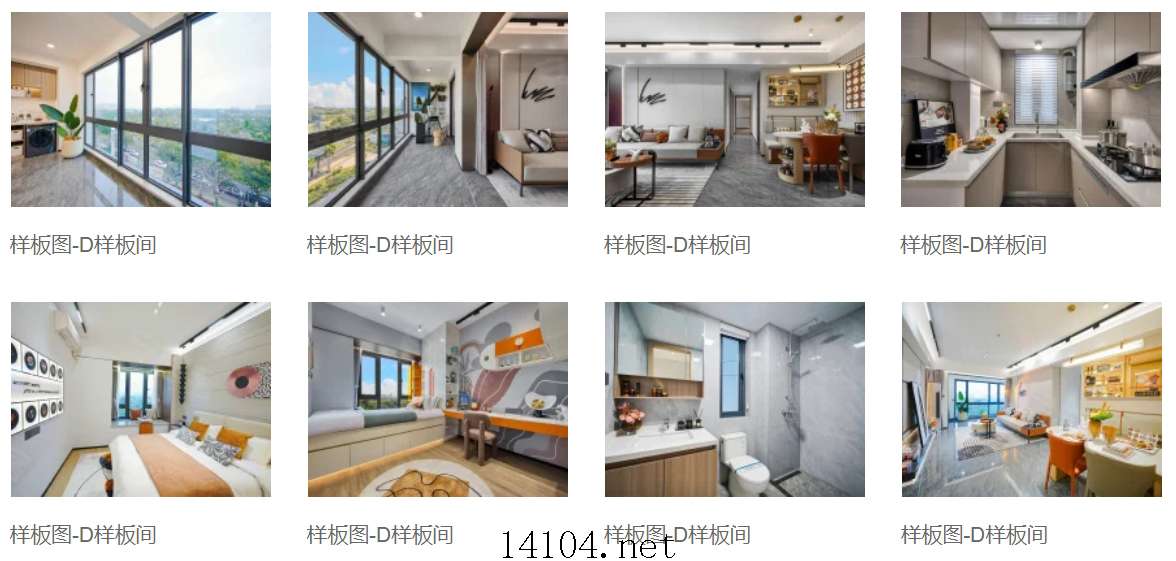 江语天著 D户型样板间.jpg