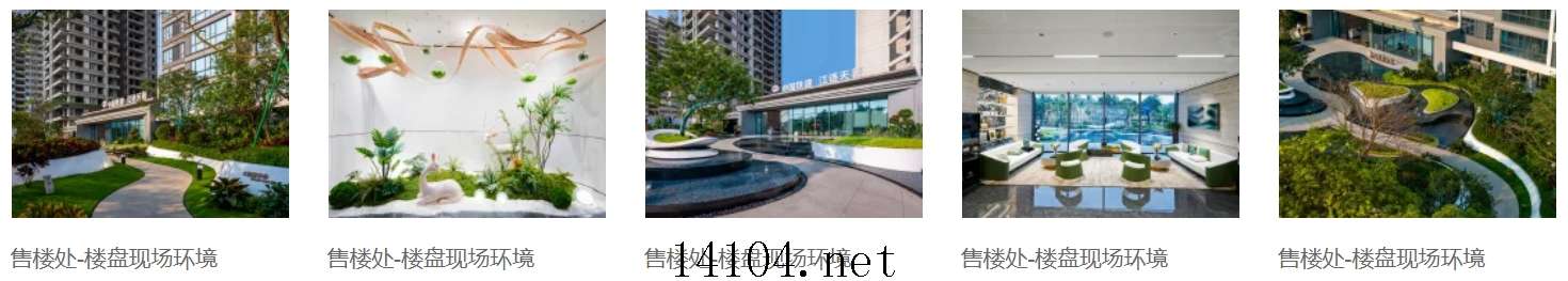 江语天著 环境.jpg