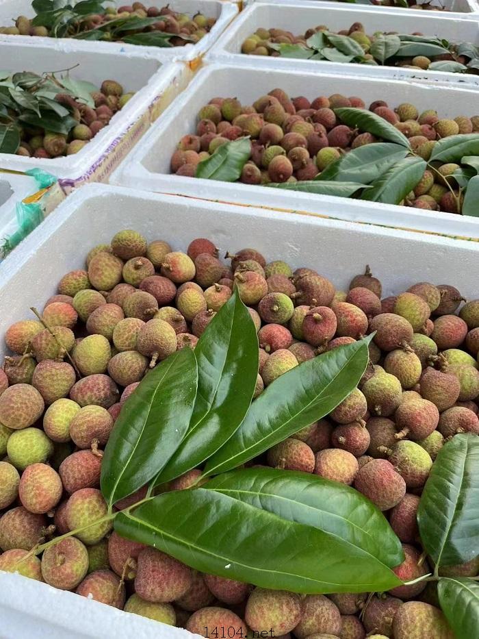 荔枝3.jpg